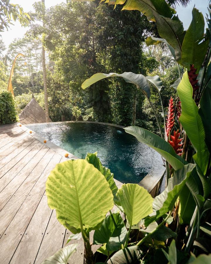 Готель Basundari Retreat Ubud Екстер'єр фото